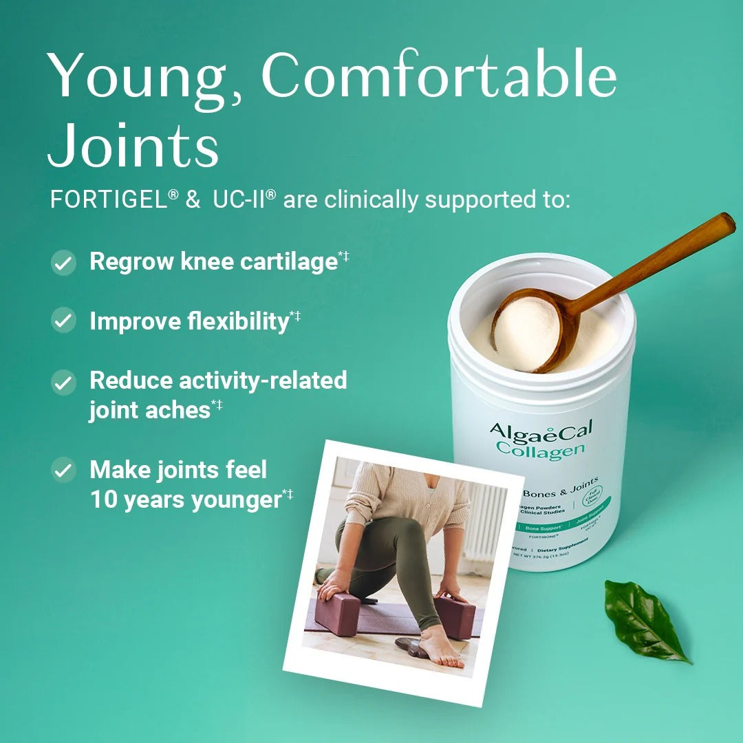 ALGAECAL Collagen Peptides, FORTIBONE®, FORTIGEL®, VERISOL®, UC-II® 1 Pack