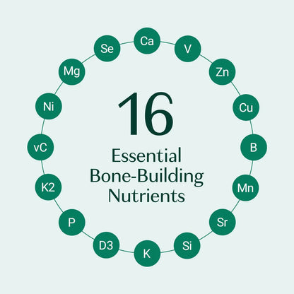 ALGAECAL Plus Calcium Supplement for Bone Density, with D3 K2, 120 Caps